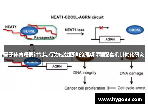 基于体育每周计划与行为成就图谱的周期课程配套机制优化研究