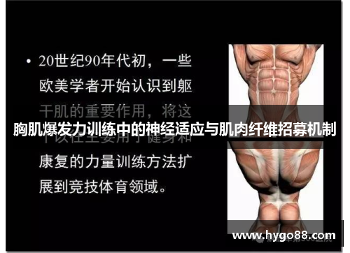 胸肌爆发力训练中的神经适应与肌肉纤维招募机制